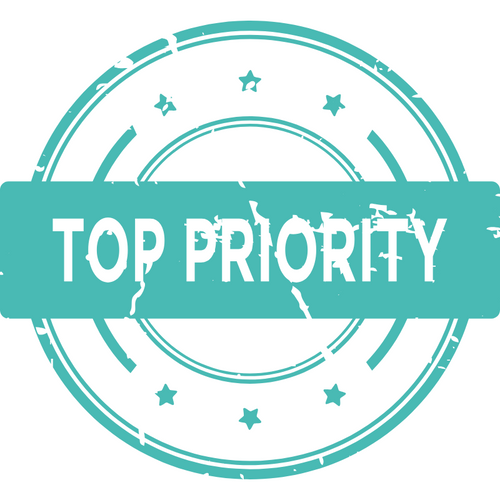 Priority Expedited Shipping